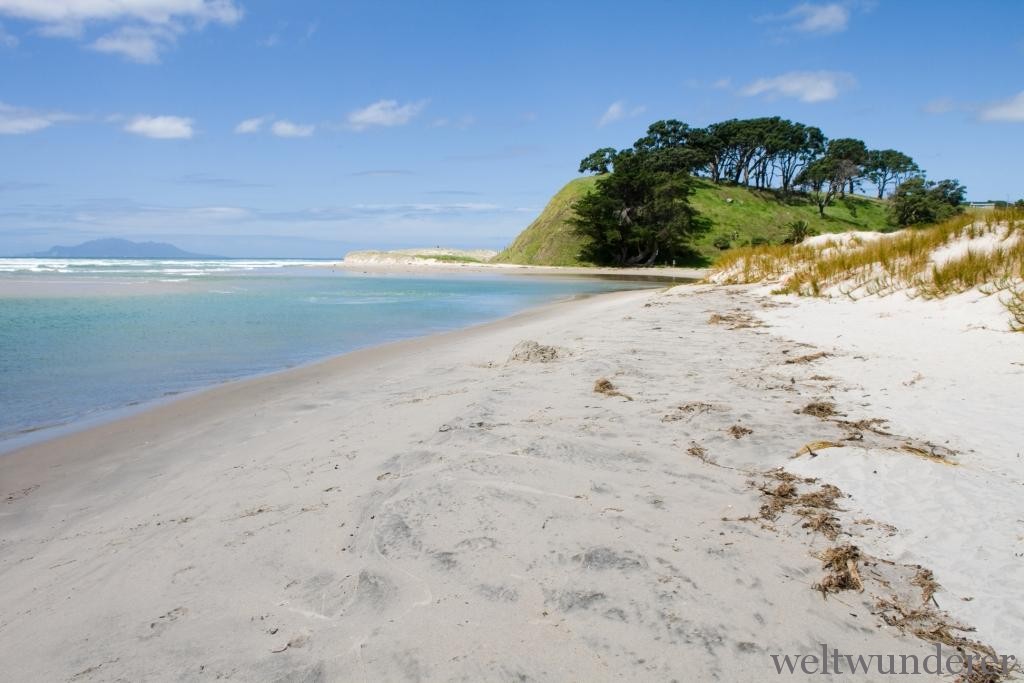 North Island Pakiri Beach