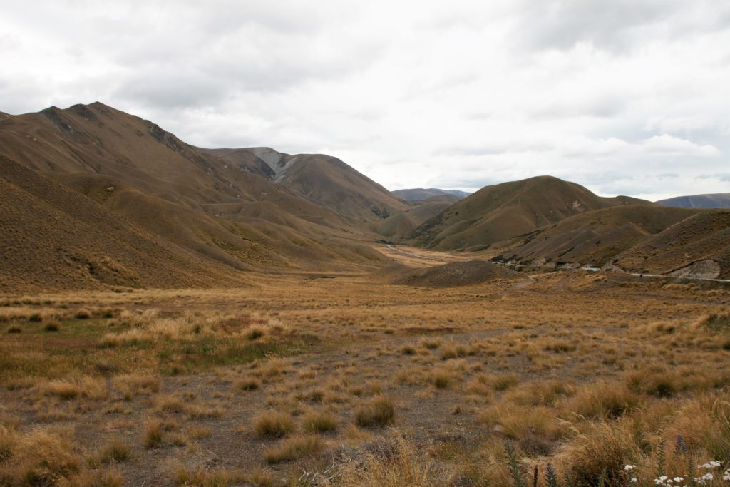 Mackenzie Country Pelennor Fields