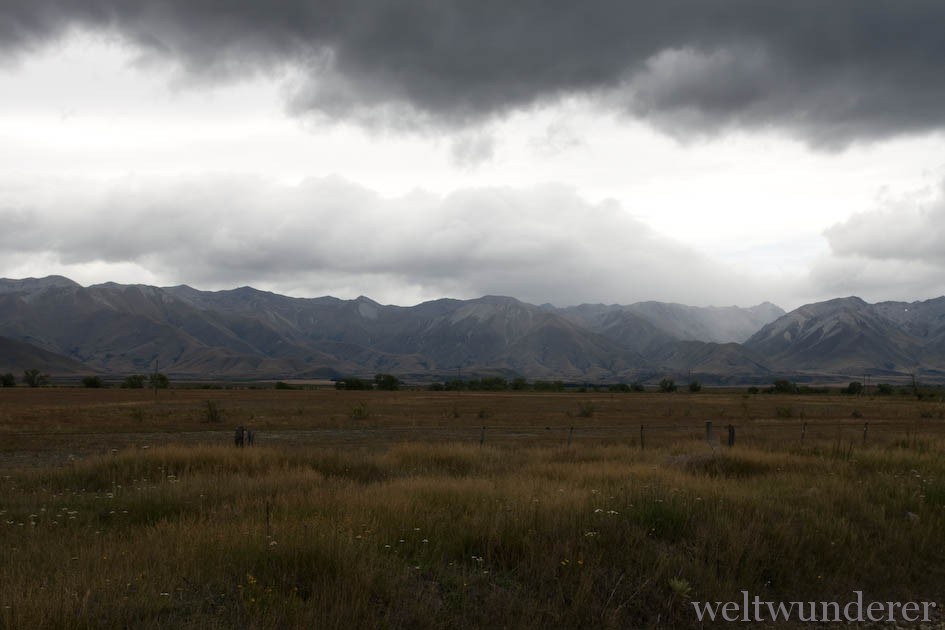 NZ South Island Mackenzie