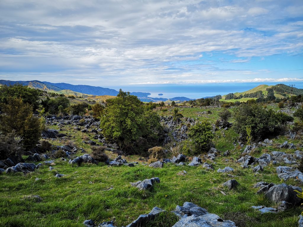 Takaka Hill