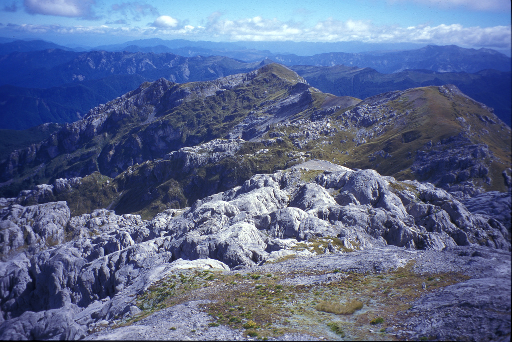 Mount Owen in Kahurangi National Park (c) Dru!/Flickr