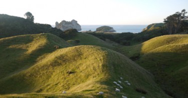 Die Landschaft bei Wharariki - Lukas' Top-Favorit