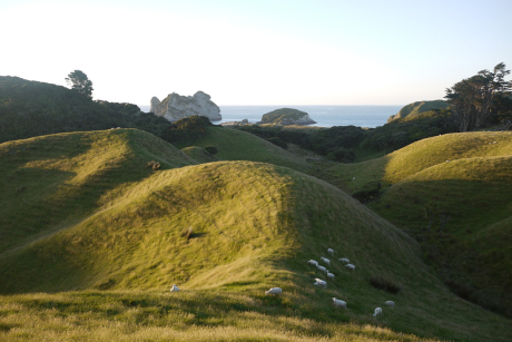 Die Landschaft bei Wharariki - Lukas' Top-Favorit