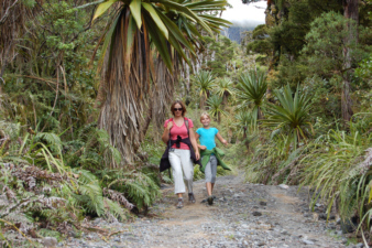 Wanderung am Mount Taranaki