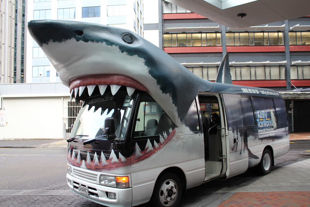 In Neuseeland fressen Haie sogar Busse! (c) Flickr/4nitsirk