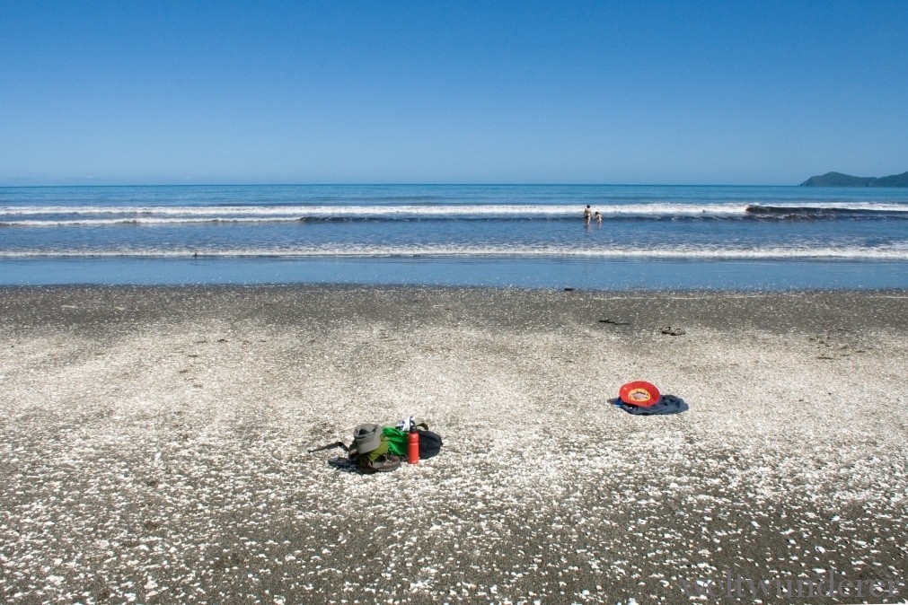 Kapiti Coast Paekakariki