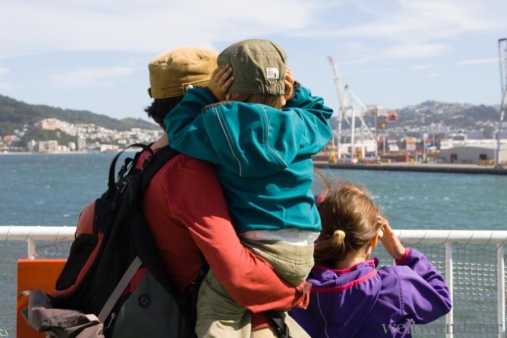 Wellington Harbour