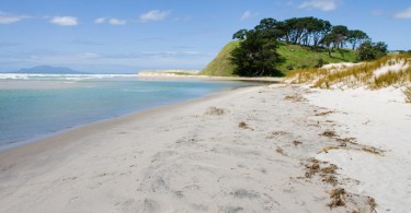 Pakiri Beach: Top Ten Campingplatz und Strand-Geheimtipp in einem 5