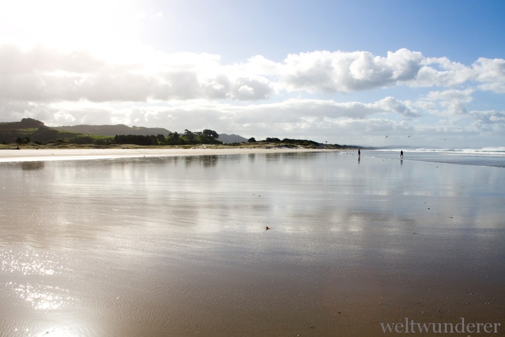 Pakiri Beach