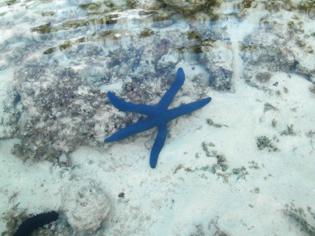 Rarotonga