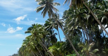 Rarotonga