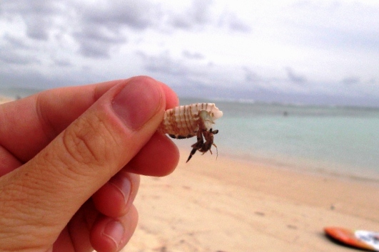 Rarotonga