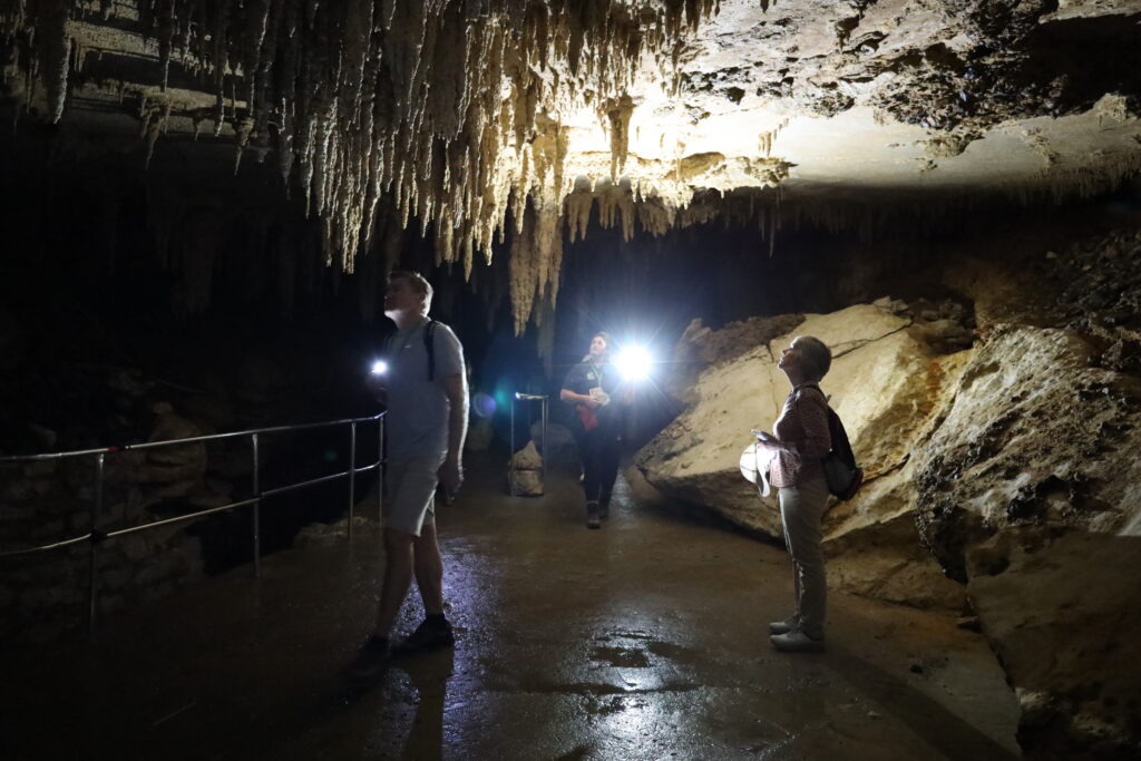 Waipu Glowworm Caves & Milky Way Caves: Familien-Geheimtipp im Northland 15 Waipu Milky Way Caves