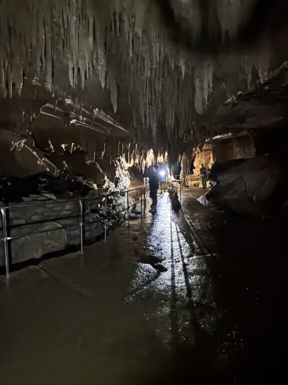 Waipu Glowworm Caves & Milky Way Caves: Familien-Geheimtipp im Northland 17 Waipu Milky Way Caves