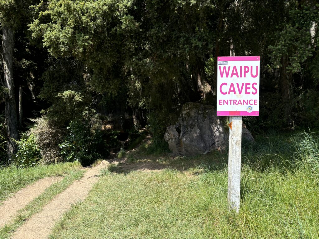 Waipu Glowworm Caves & Milky Way Caves: Familien-Geheimtipp im Northland 14 Waipu Glowworm Caves