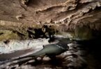 Waipu Glowworm Caves