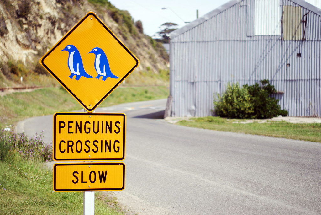 Penguin crossing road sign (c) FlickR/fras1977