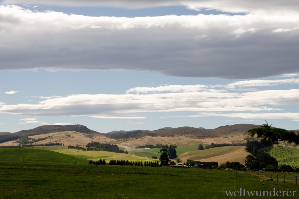 Canterbury Plains