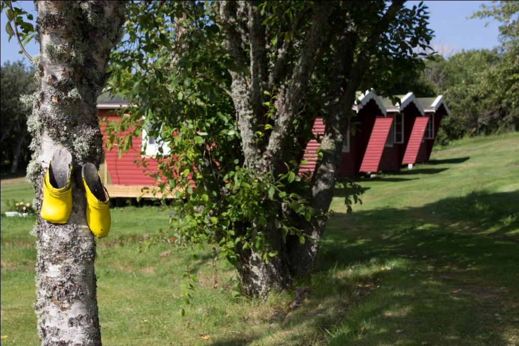 Weltwunderer Tanumshede Tanum Camping Sweden