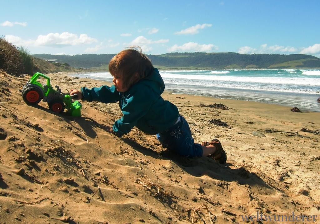 Curio Bay NZ