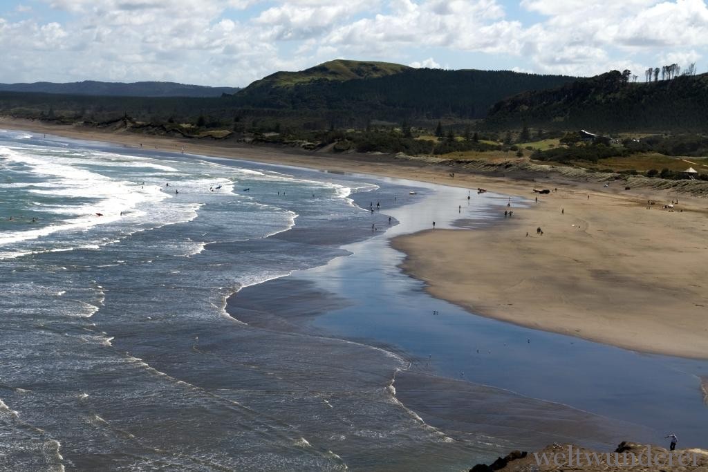 Blick auf Muriwai Beach von der Tölpel-Kolonie 