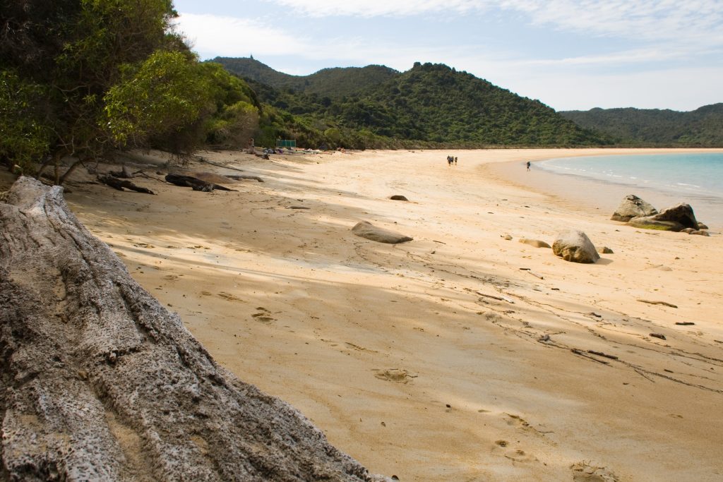 Weltwunderer Tonga Beach Abel Tasman Neuseeland