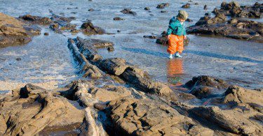 Curio Bay Holiday Park