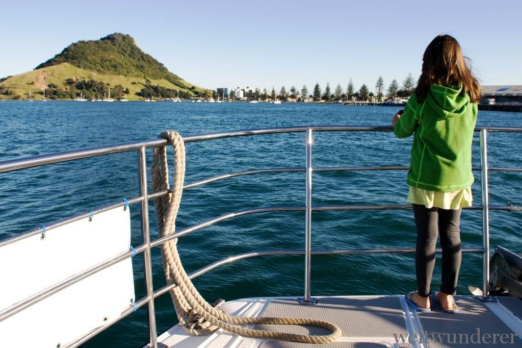 Vulkan in Neuseeland Mt Maunganui