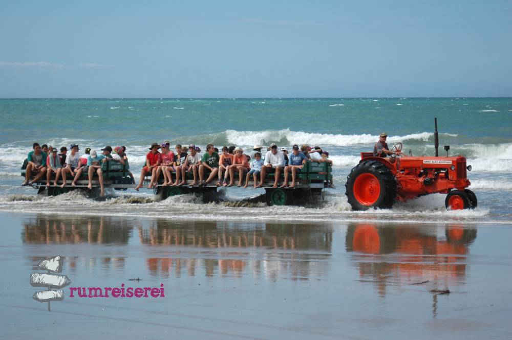 Lustige Treckertour zu den Tölpeln am Cape Kidnappers (c) rumreiserei.de