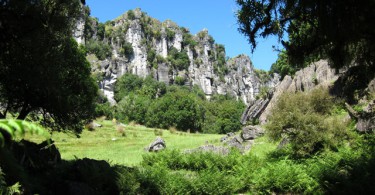 Neue Location für Hobbit-Fans: Auf Bilbos Spuren durch den Trollshaw Forest 3