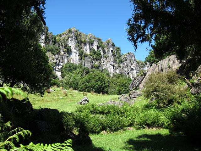 Die imposanten Limestone Cliffs gibt es rund um Piopio (c) Hairy Feet Waitomo