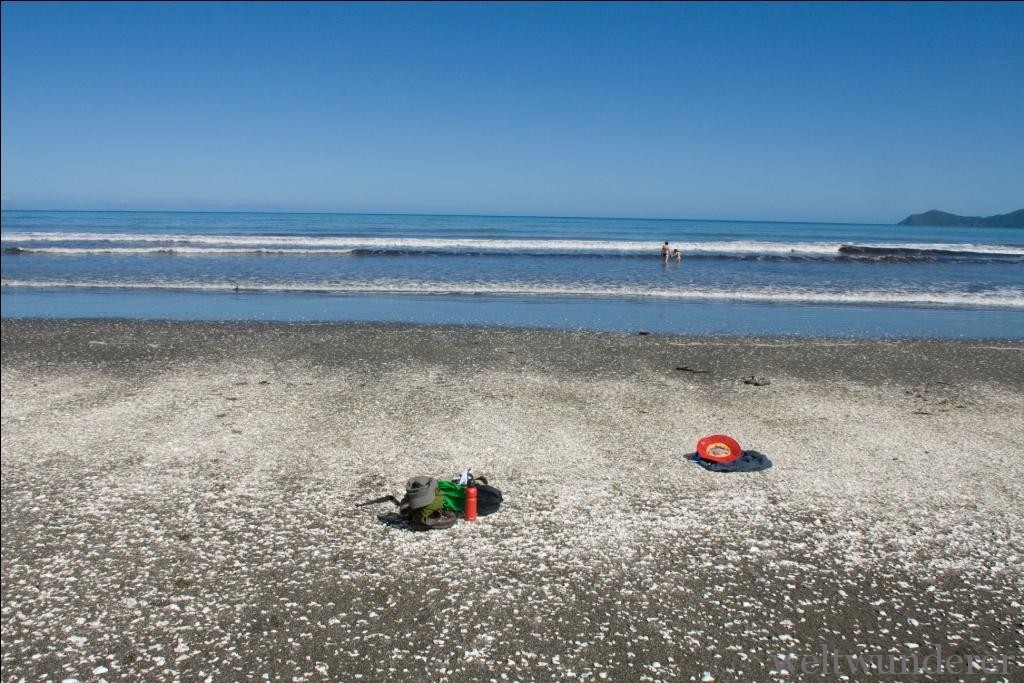 Kapiti Coast