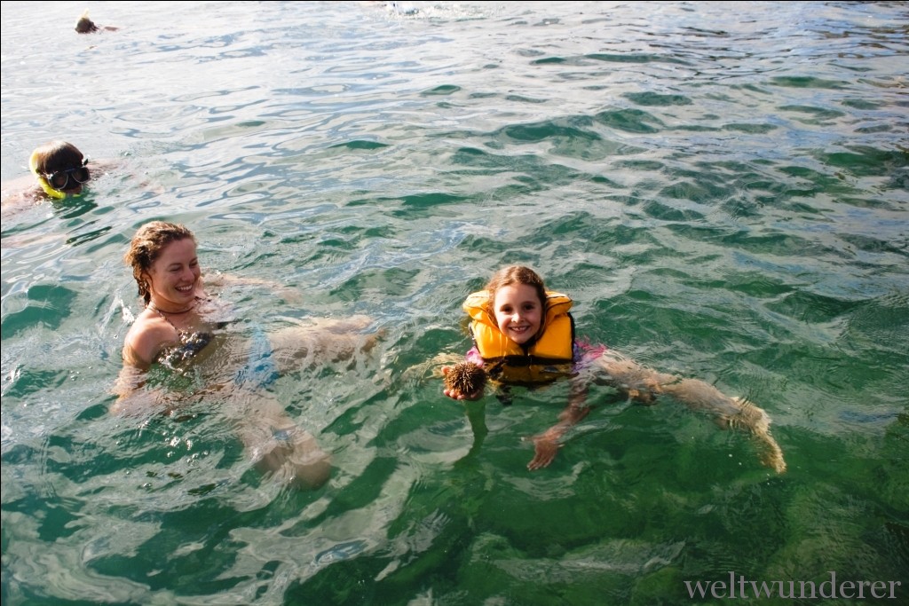 Neuseeland mit Kindern - worauf ihr verzichten müsst 6 Coromandel Snorkeling Tour