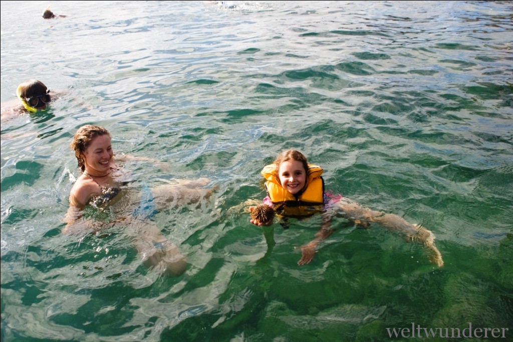 Coromandel Snorkeling Tour