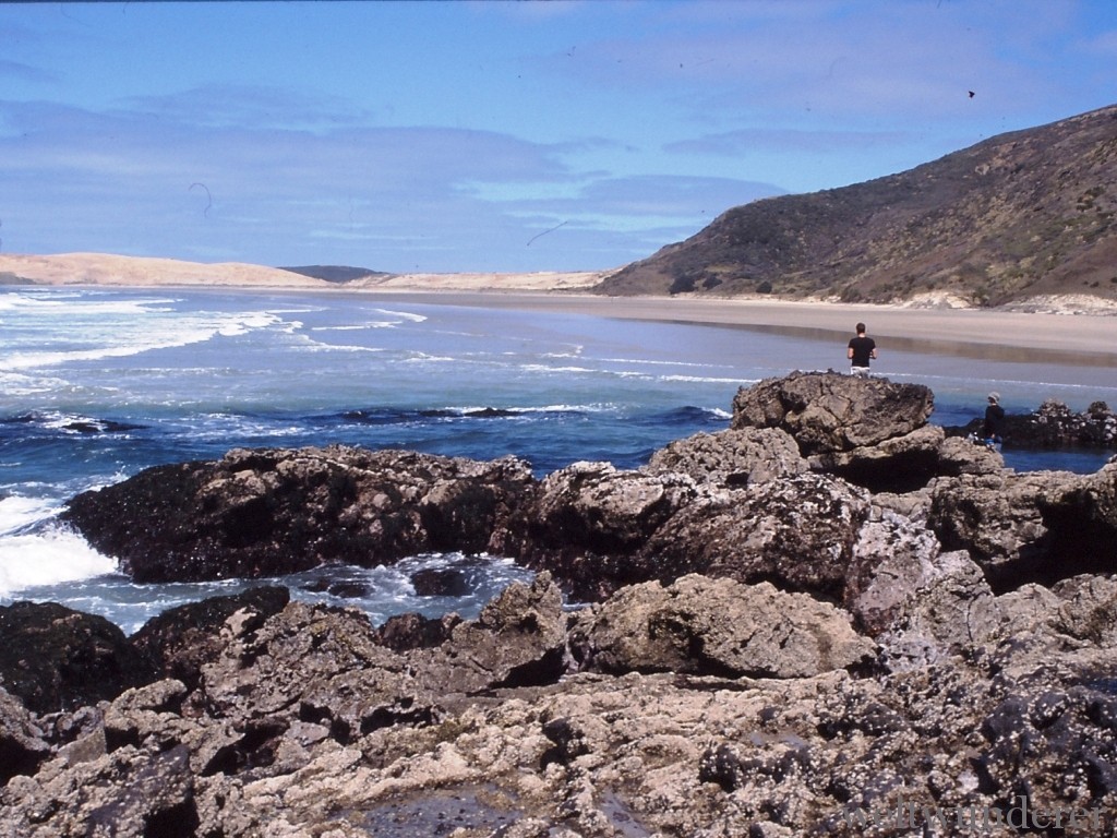 Anno 2002 nahe dem Cape Reinga: Hier wird gleich ein Barsch gefangen!