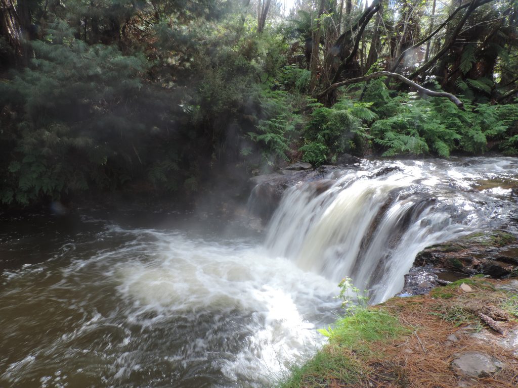 Baden in Neuseeland Kerosene Creek