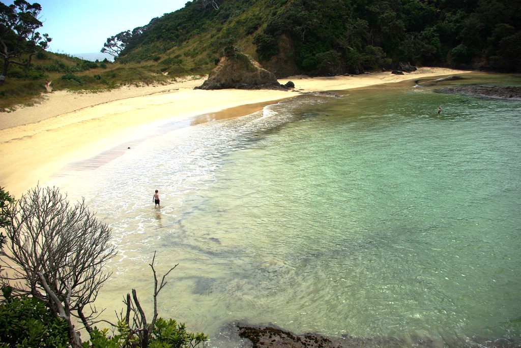 Das ist die Matapouri Bay - die Mermaid Pools verstecken sich hinter den Felsen (c) FlickR/Samuel Mann