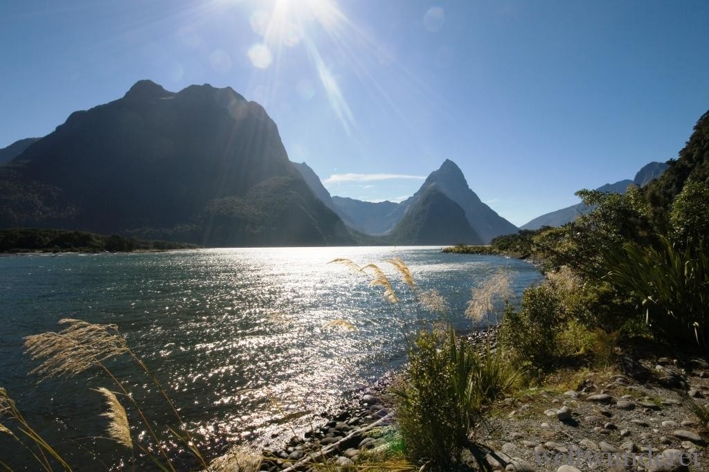 Milford Sound Neuseeland