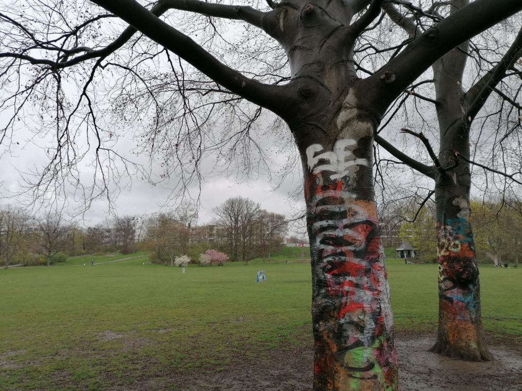 Dresden Neustadt mit Kindern: Tipps für euren Stadtbummel 90 Dresden Neustadt