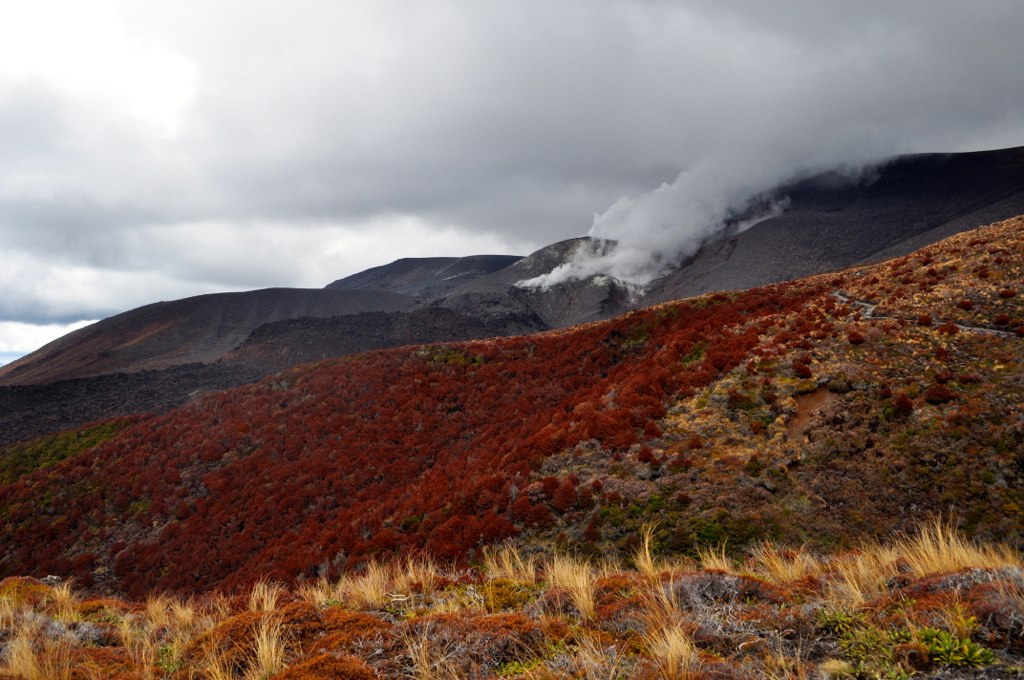 Dampfender Mount Tongariro - ganz normal in NZ (c) FlickR/Madeleine_H