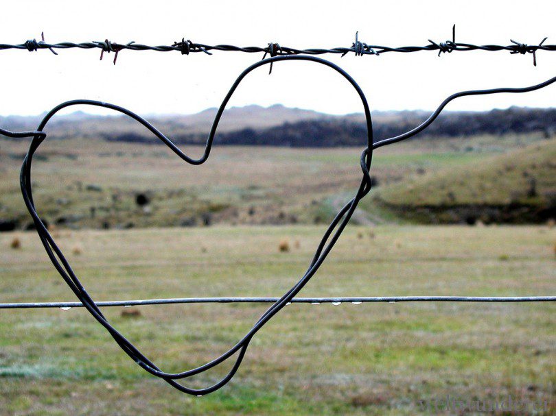 Anleitung zum (Un-) Glücklichsein: die perfekte Neuseeland-Reise 8