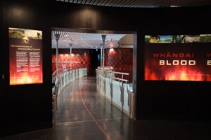 Te Papa Museum Wellington