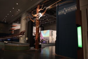 Te Papa Museum Wellington