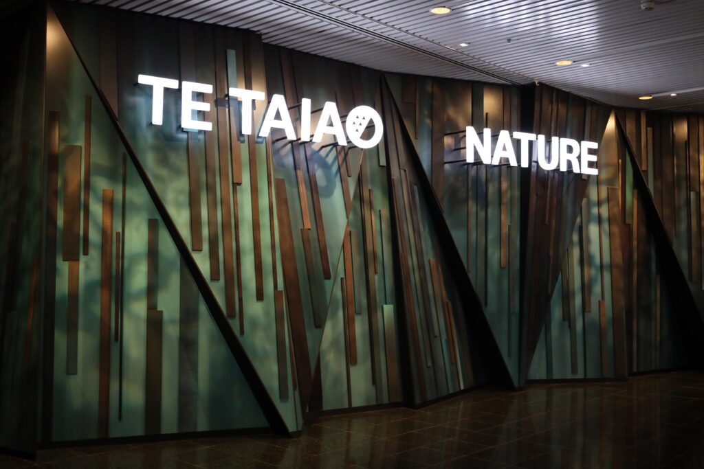 Must do in Wellington: Te Papa Museum 23 Te Papa Museum Wellington Te Taiao