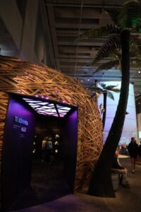 Te Papa Museum Wellington Te Taiao