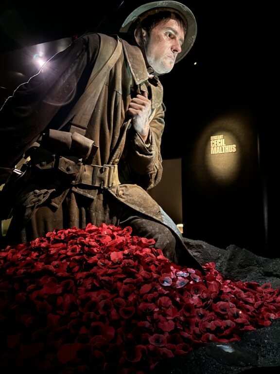 Must do in Wellington: Te Papa Museum 26 Te Papa Museum Wellington Gallipoli