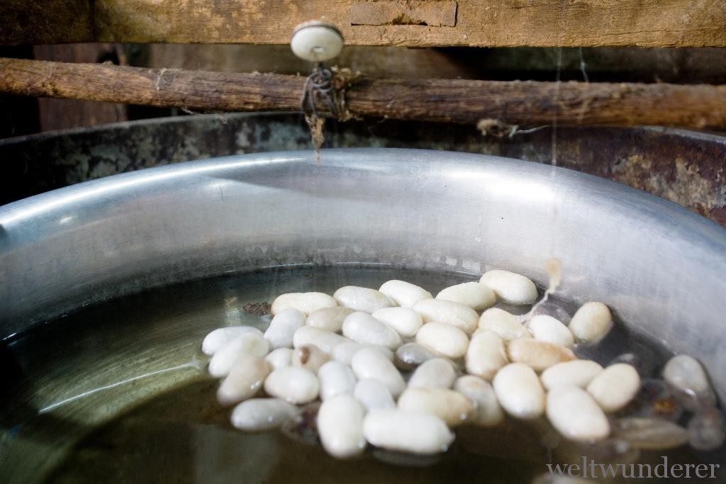 Das sind Seidenraupen - langsam zu Tode geköchelt und behutsam aus ihren Kokons geschält (die superfeinen Seidenfäden sind fast nicht zu sehen)