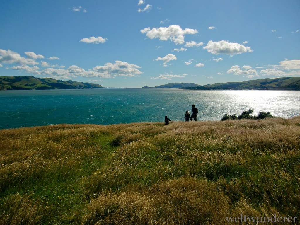 Weltwunderer Otago Peninsula
