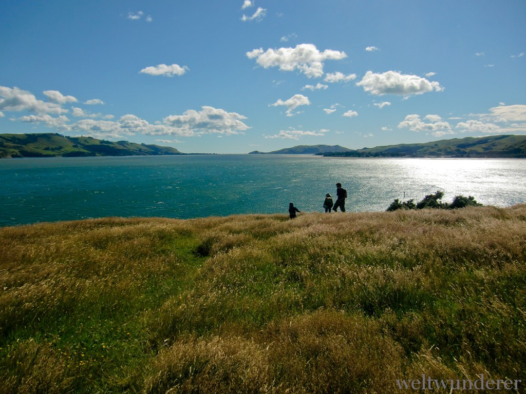 Weltwunderer Otago Peninsula