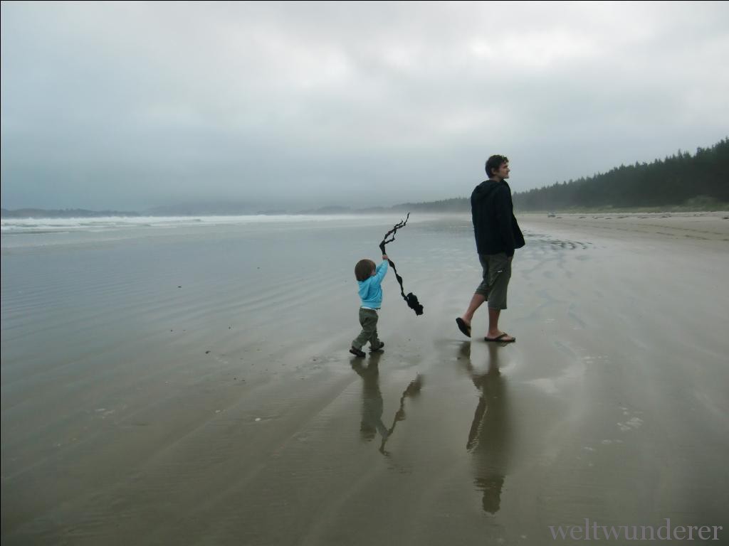 Waikouaiti Beach - mystisch und menschenleer